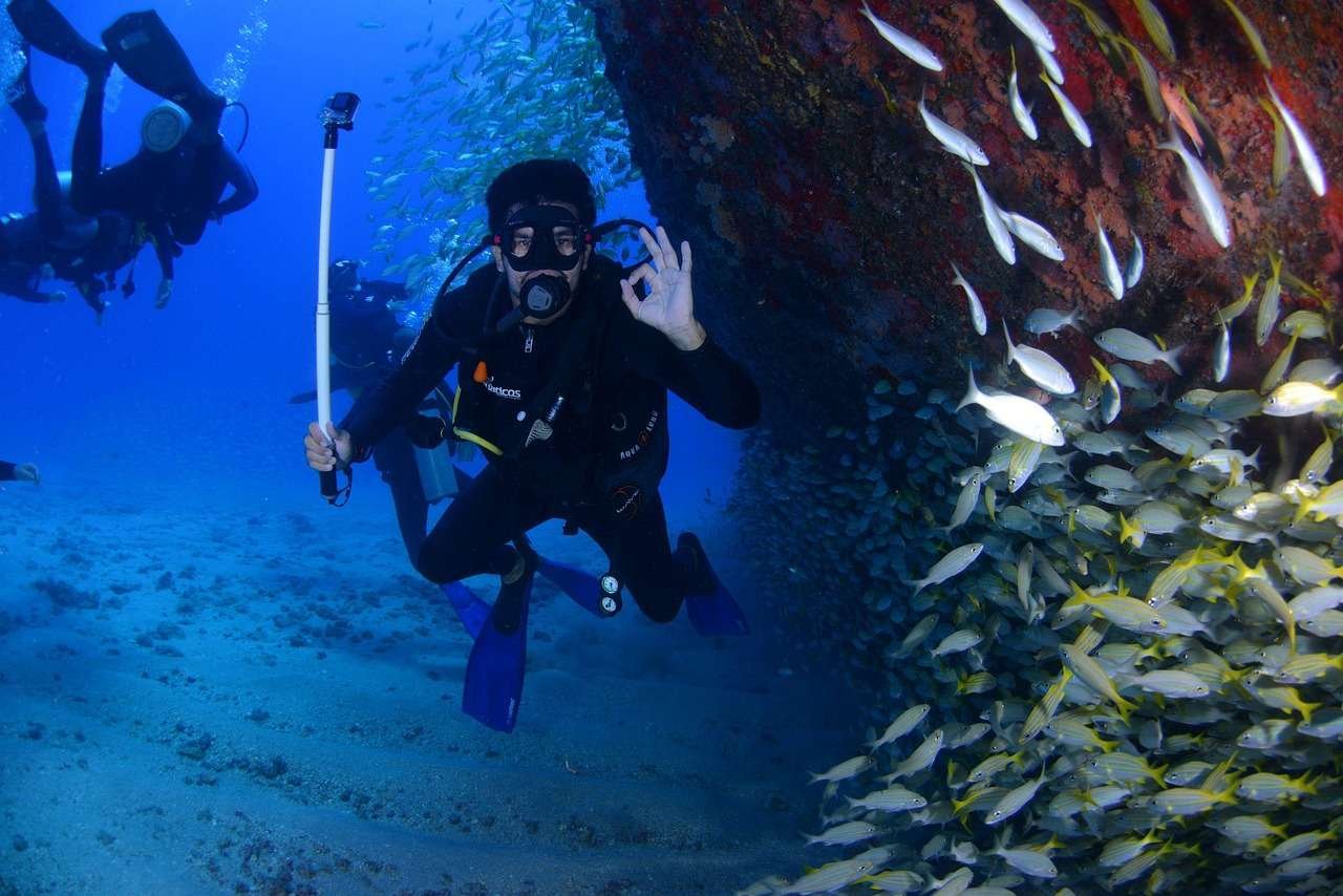 dive, blue, diving deep, at the bottom of the ocean, nature, passion, scuba diver, fins, ocean, person, scuba, sea, swimming, underwater, water-1849534.jpg
