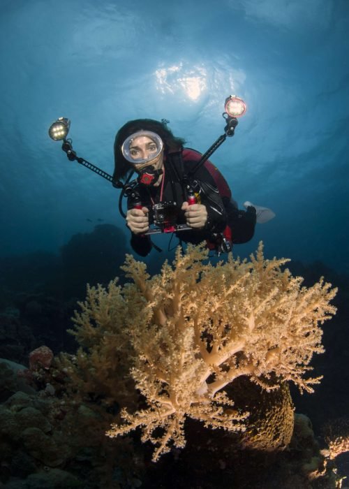 Palau, woman diving